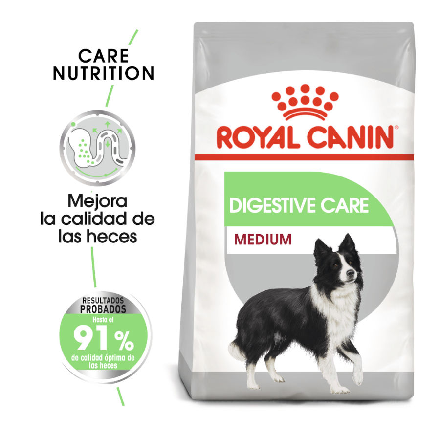 Royal Canin pienso Medium Digestive Care image number null